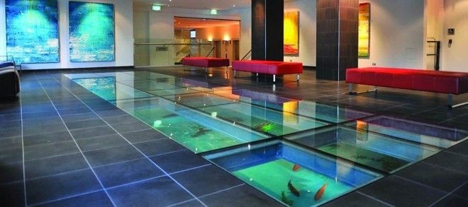 Tips Membuat Aquarium Di Bawah Lantai